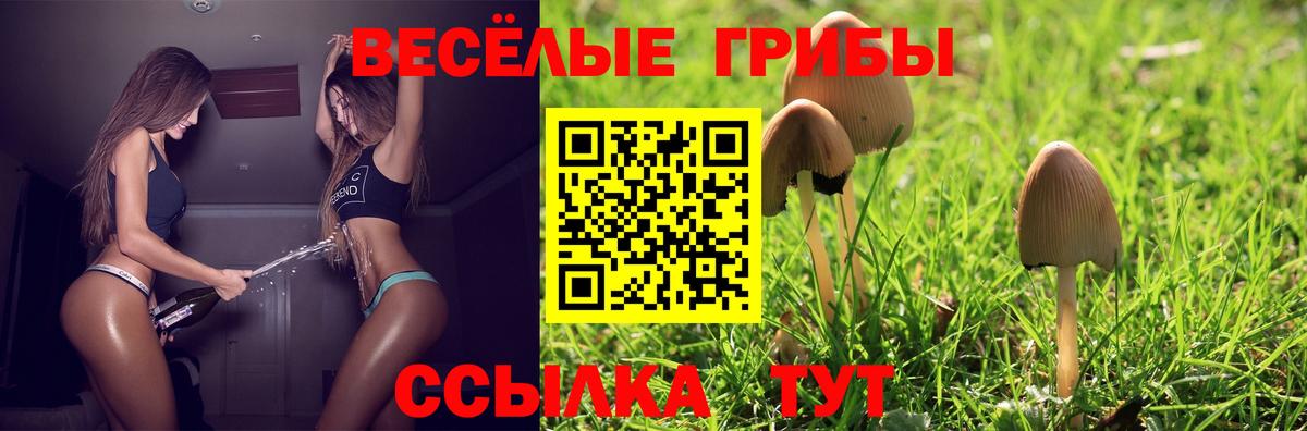 Псилоцибиновые грибы Psilocybine cubensis  Вход с VPN  Полевской 